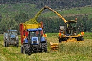 Tractors in a field