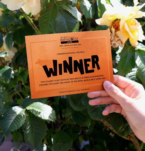 Winner